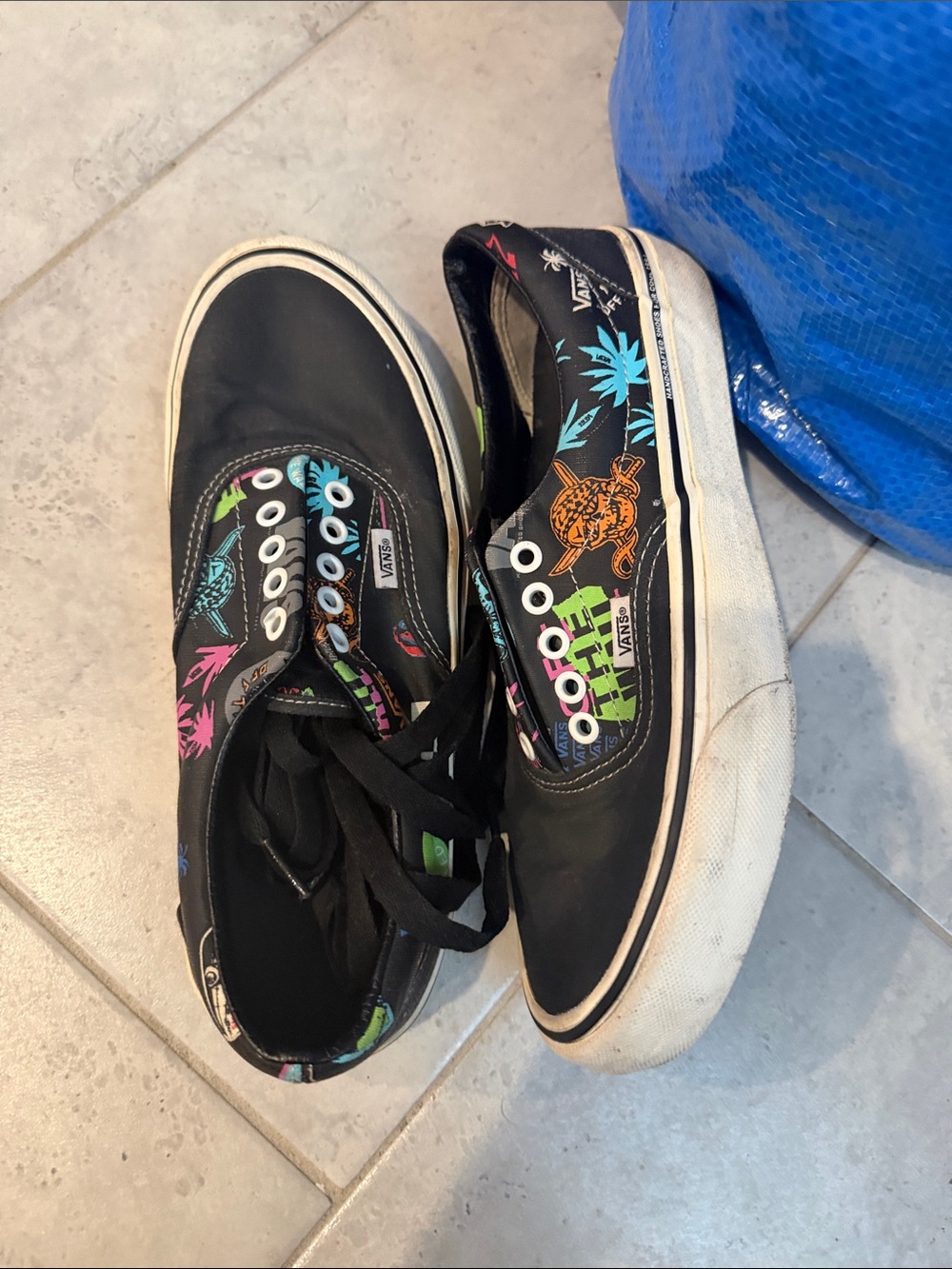 Vans Black Tropical Graphic Skate Shoes